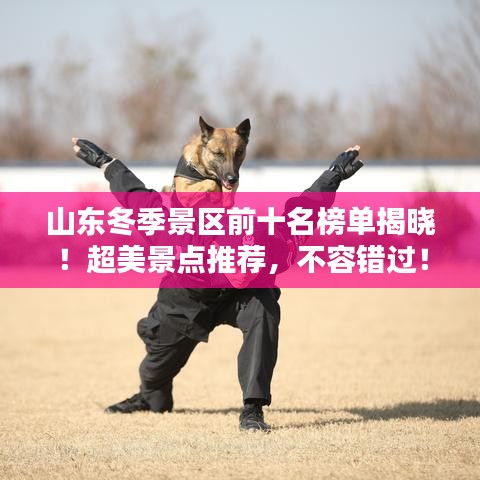 山東冬季景區(qū)前十名榜單揭曉！超美景點(diǎn)推薦，不容錯(cuò)過(guò)！