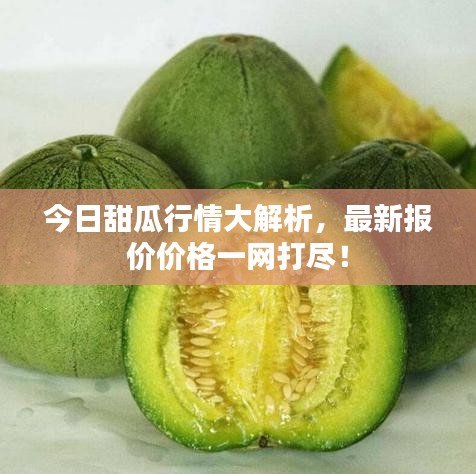 今日甜瓜行情大解析，最新報價價格一網(wǎng)打盡！