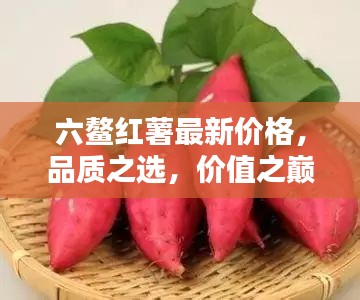 六鰲紅薯最新價(jià)格，品質(zhì)之選，價(jià)值之巔