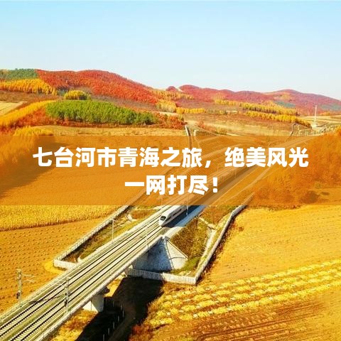 七臺(tái)河市青海之旅，絕美風(fēng)光一網(wǎng)打盡！