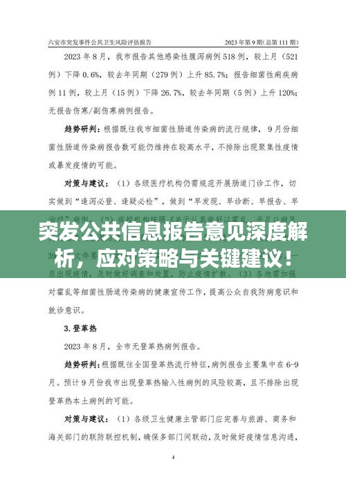 突發(fā)公共信息報(bào)告意見(jiàn)深度解析，應(yīng)對(duì)策略與關(guān)鍵建議！