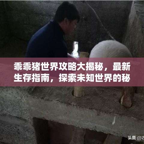 乖乖豬世界攻略大揭秘，最新生存指南，探索未知世界的秘訣