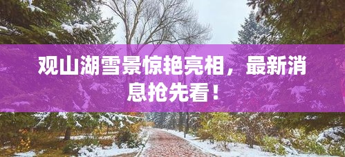 觀山湖雪景驚艷亮相，最新消息搶先看！