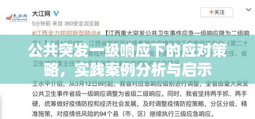 公共突發(fā)一級響應(yīng)下的應(yīng)對策略，實踐案例分析與啟示