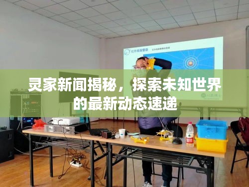 靈家新聞揭秘，探索未知世界的最新動態(tài)速遞