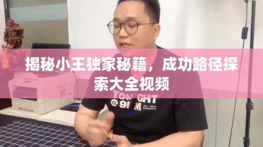 揭秘小王獨(dú)家秘籍，成功路徑探索大全視頻