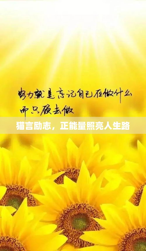 專心致志 第2頁