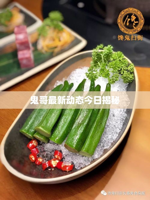 鬼哥最新動態(tài)今日揭秘