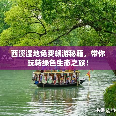 西溪濕地免費暢游秘籍，帶你玩轉綠色生態(tài)之旅！