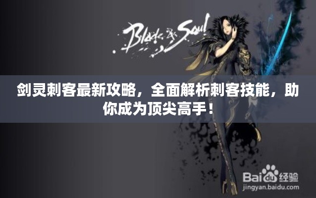 劍靈刺客最新攻略，全面解析刺客技能，助你成為頂尖高手！