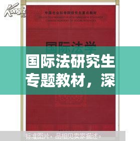 國際法研究生專題教材，深度探索與實踐研究