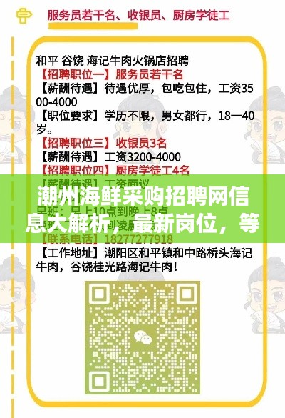 潮州海鮮采購招聘網信息大解析，最新崗位，等你來挑！
