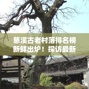慈溪古老村落排名榜新鮮出爐！探訪最新榜單中的魅力村落