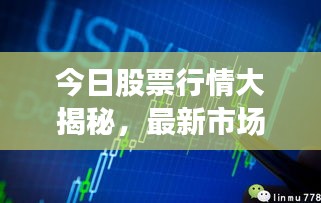 今日股票行情大揭秘，最新市場(chǎng)動(dòng)態(tài)一網(wǎng)打盡！