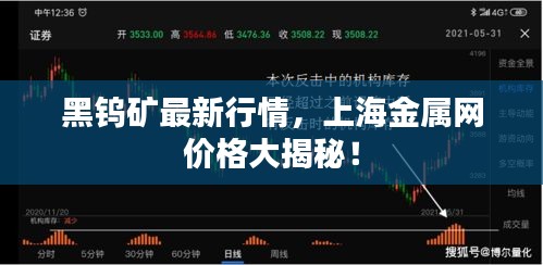 黑鎢礦最新行情，上海金屬網(wǎng)價(jià)格大揭秘！