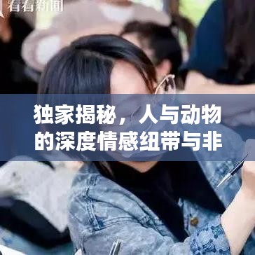 獨(dú)家揭秘，人與動(dòng)物的深度情感紐帶與非凡關(guān)系探索