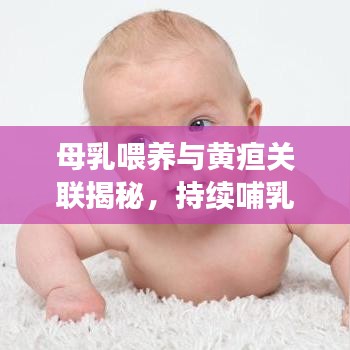 母乳喂養(yǎng)與黃疸關聯(lián)揭秘，持續(xù)哺乳助力退黃，科學解讀黃疸與母乳關系