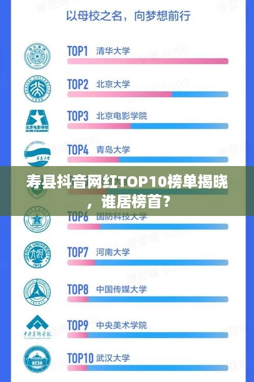 壽縣抖音網(wǎng)紅TOP10榜單揭曉，誰居榜首？