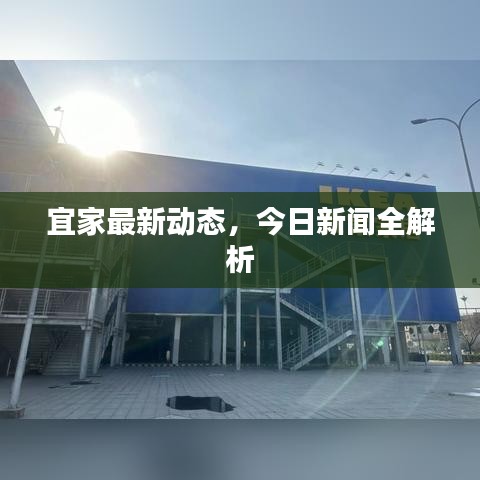 宜家最新動(dòng)態(tài)，今日新聞全解析