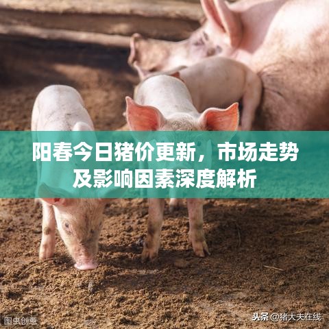 陽春今日豬價更新，市場走勢及影響因素深度解析