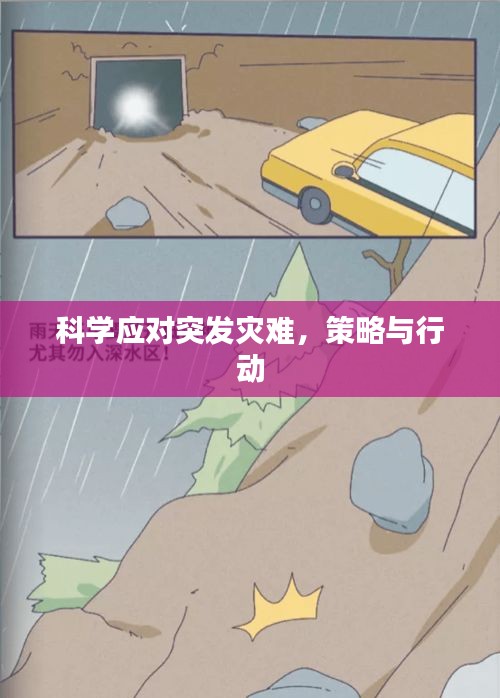 科學(xué)應(yīng)對突發(fā)災(zāi)難，策略與行動(dòng)