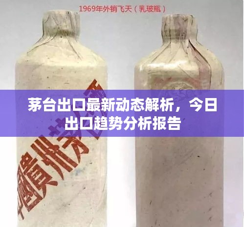 茅臺(tái)出口最新動(dòng)態(tài)解析，今日出口趨勢(shì)分析報(bào)告