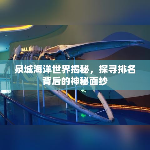 泉城海洋世界揭秘，探尋排名背后的神秘面紗
