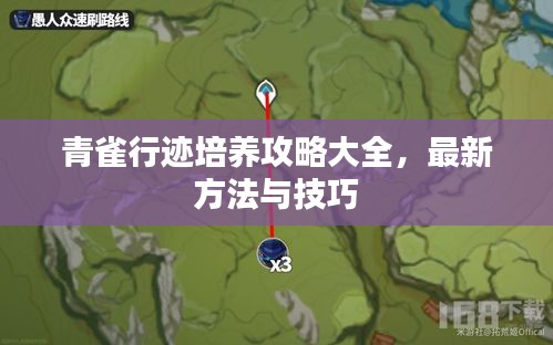 青雀行跡培養(yǎng)攻略大全，最新方法與技巧