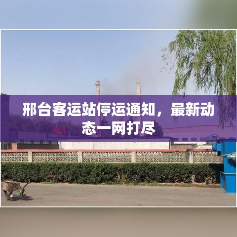 邢臺客運(yùn)站停運(yùn)通知，最新動(dòng)態(tài)一網(wǎng)打盡
