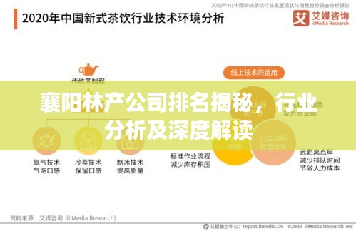 襄陽林產(chǎn)公司排名揭秘，行業(yè)分析及深度解讀