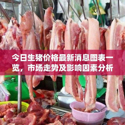 今日生豬價格最新消息圖表一覽，市場走勢及影響因素分析