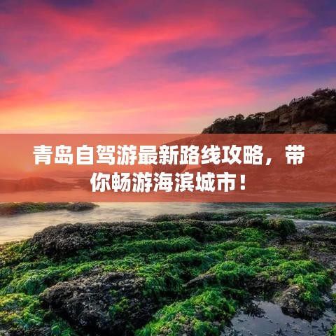 青島自駕游最新路線攻略，帶你暢游海濱城市！