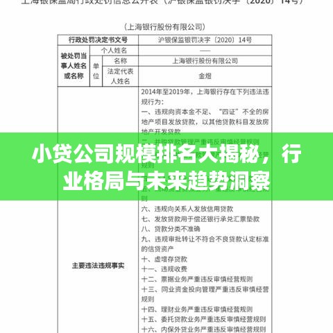小貸公司規(guī)模排名大揭秘，行業(yè)格局與未來趨勢洞察