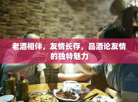 老酒相伴，友情長存，品酒論友情的獨(dú)特魅力
