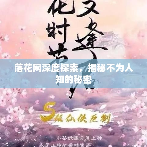 落花網(wǎng)深度探索，揭秘不為人知的秘密