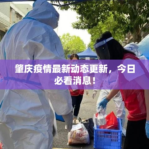 肇慶疫情最新動態(tài)更新，今日必看消息！
