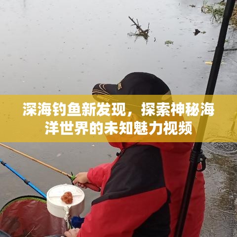 深海釣魚新發(fā)現(xiàn)，探索神秘海洋世界的未知魅力視頻