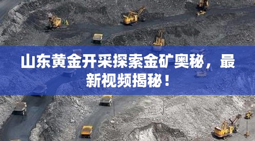山東黃金開采探索金礦奧秘，最新視頻揭秘！