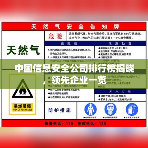 中國信息安全公司排行榜揭曉，領先企業(yè)一覽