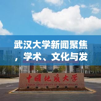 采椽不斫