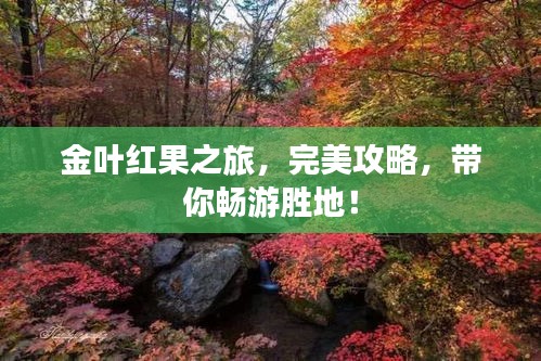 對(duì)答如流