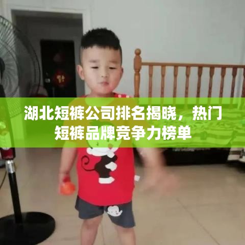 湖北短褲公司排名揭曉，熱門(mén)短褲品牌競(jìng)爭(zhēng)力榜單