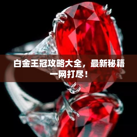白金王冠攻略大全，最新秘籍一網(wǎng)打盡！