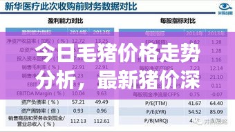 今日毛豬價(jià)格走勢(shì)分析，最新豬價(jià)深度解讀