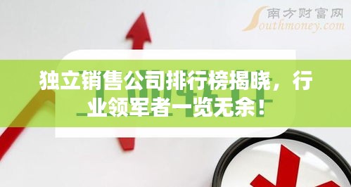 獨(dú)立銷售公司排行榜揭曉，行業(yè)領(lǐng)軍者一覽無余！