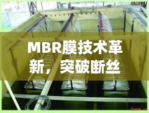 獨一無二