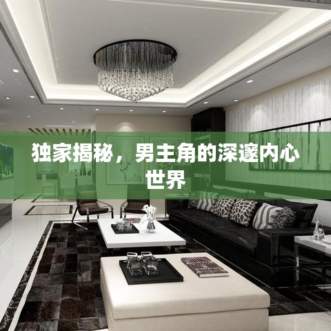 獨(dú)家揭秘，男主角的深邃內(nèi)心世界